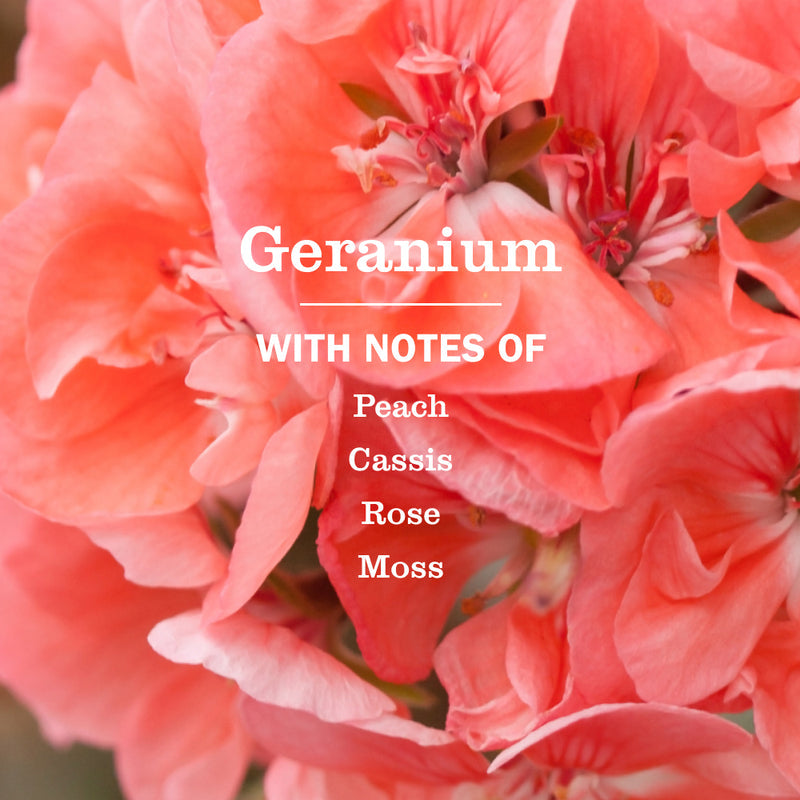 Mrs. Meyer's Geranium Liquid Hand Soap Refill