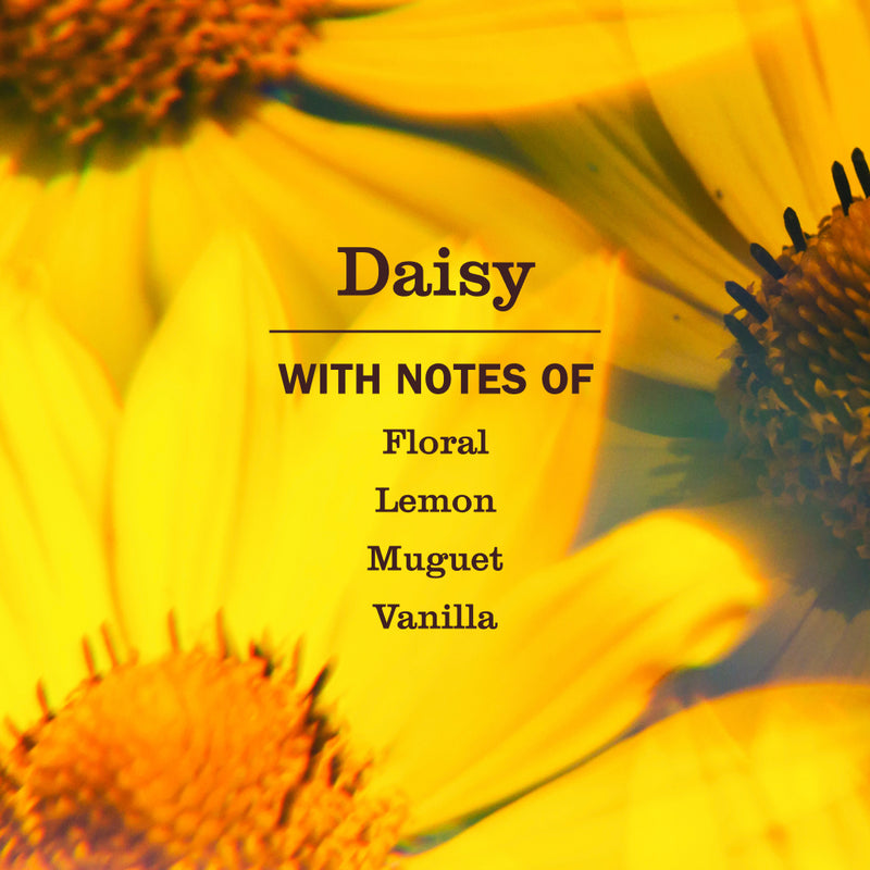 Mrs. Meyer's Daisy Multi-Surface Everyday Cleaner