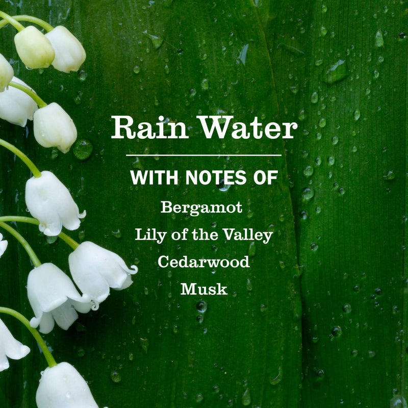 Mrs. Meyer's Rain Water Laundry Detergent
