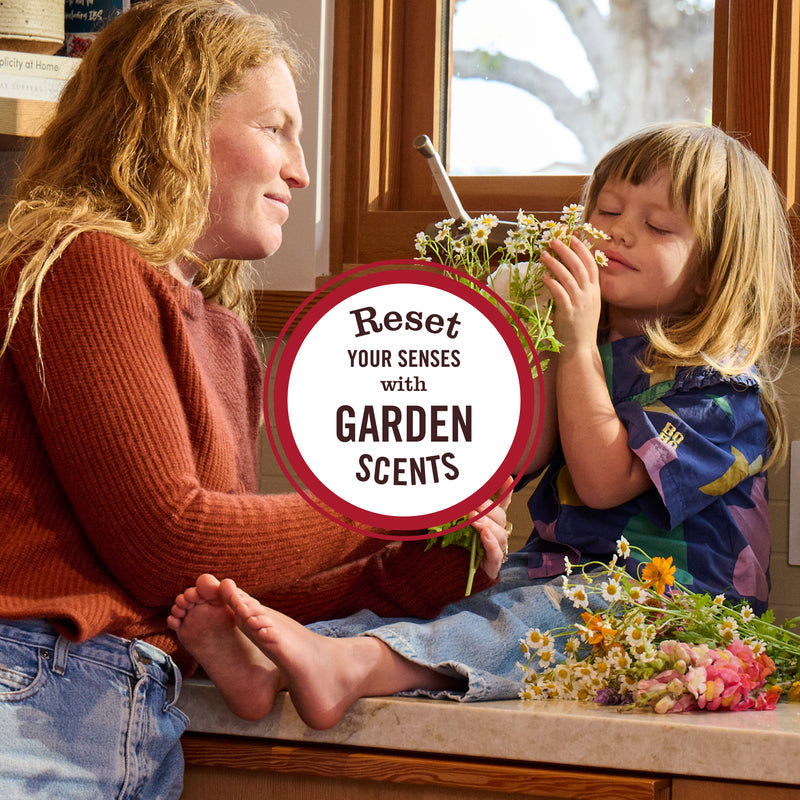 Dandelion Room Freshener