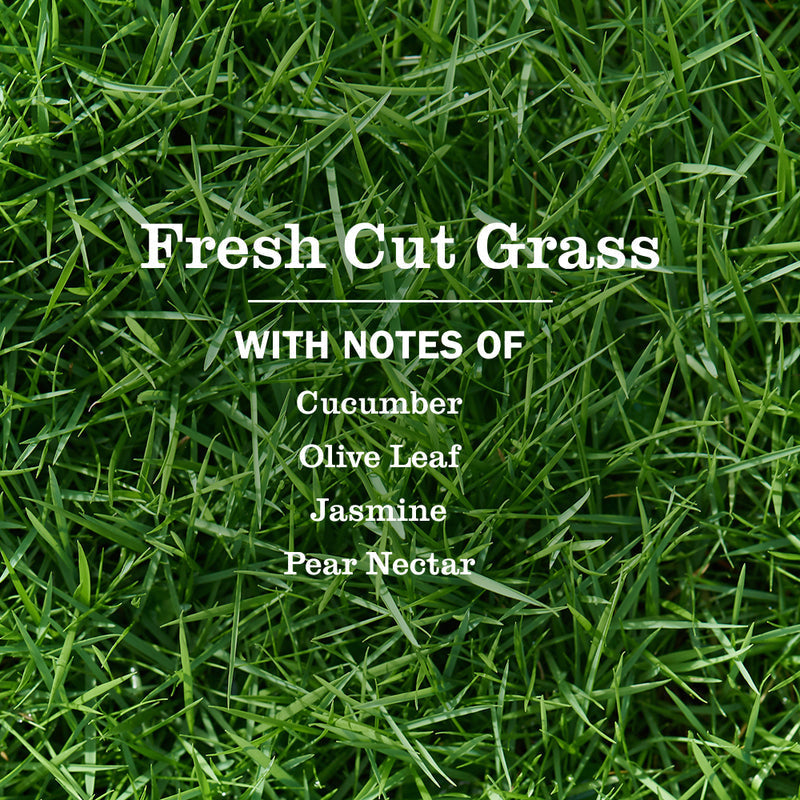 Fresh Cut Grass Multi-Surface Everyday Cleaner | Mrs. Meyer's