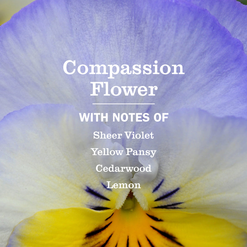Mrs. Meyer's Compassion Flower Kitchen Basics Set