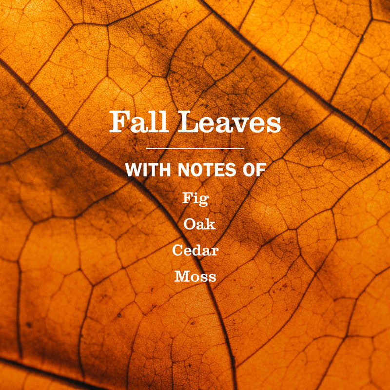 Mrs. Meyer's Fall Leaves Multi-Surface Everyday Cleaner