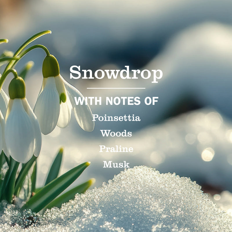 Mrs. Meyer's Snowdrop Hand Lotion