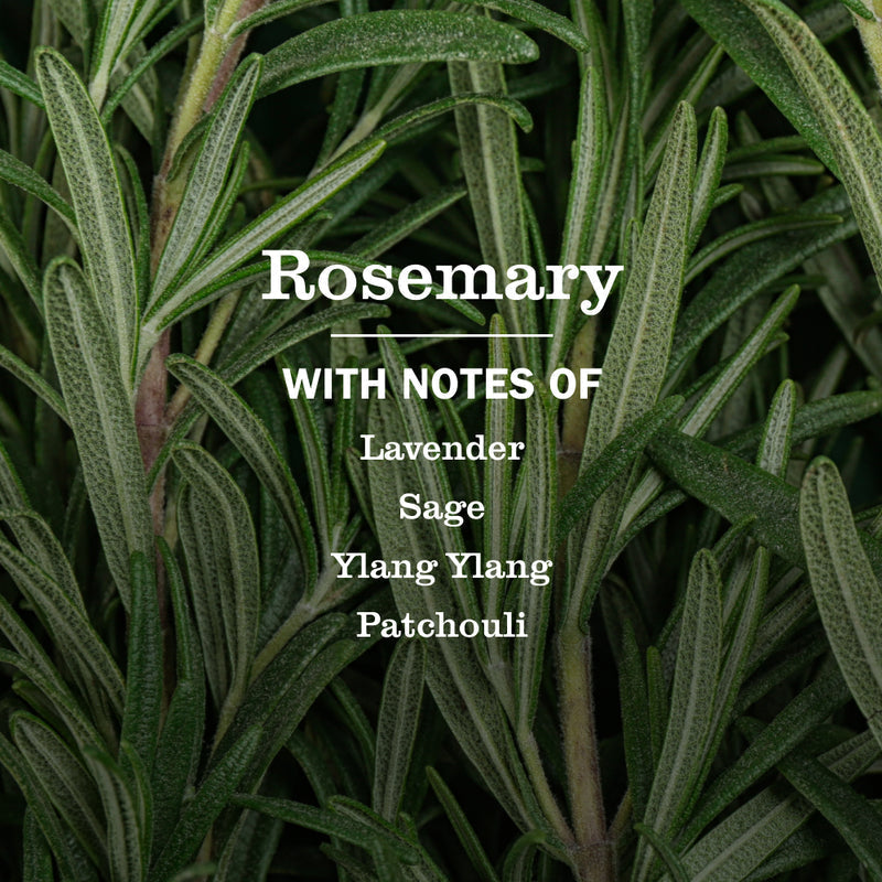 Mrs. Meyer's Rosemary Multi-Surface Everyday Cleaner