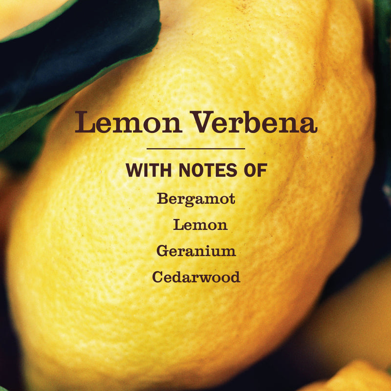 Mrs. Meyer's Lemon Verbena Multi-Surface Everyday Cleaner